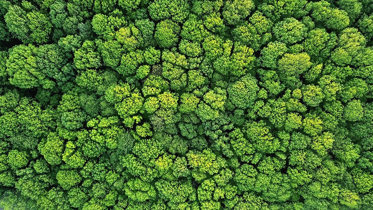 Our Mission Background